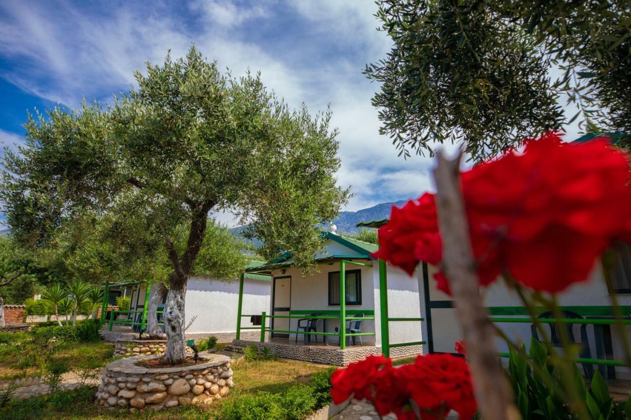 Chalet Ambel Dhërmi Exteriör bild